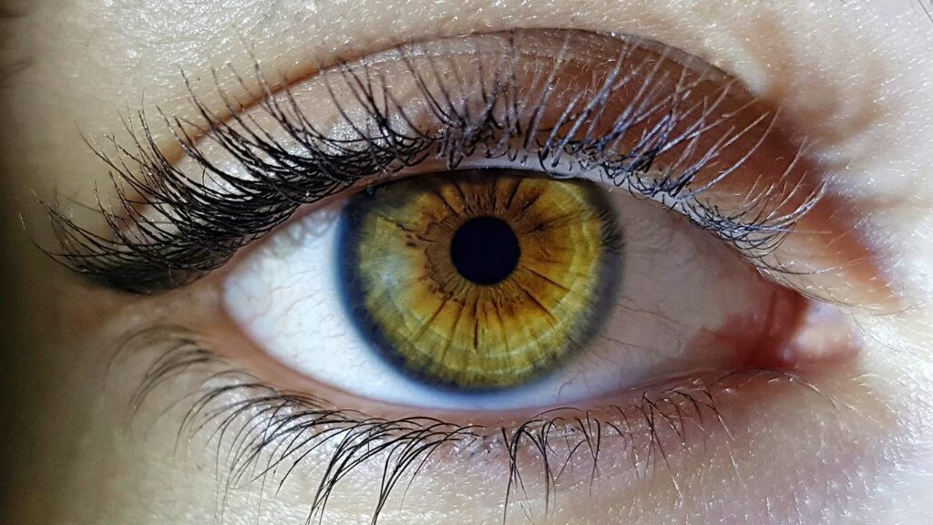 Retinosis pigmentaria, ¿qué es??