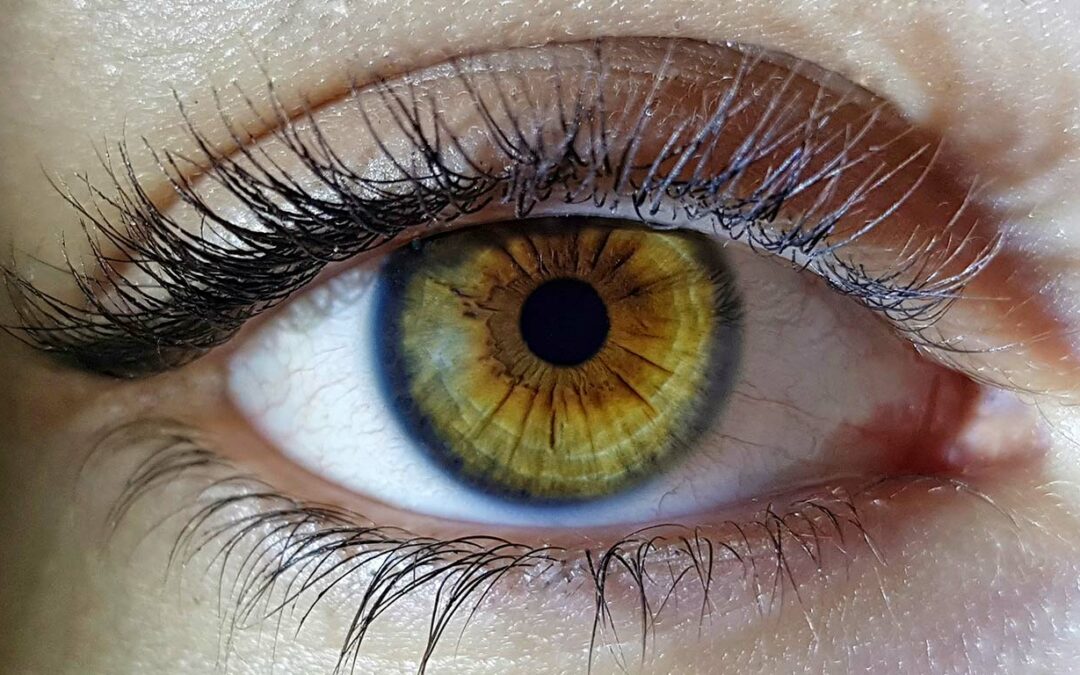 Retinosis pigmentaria, ¿qué es?